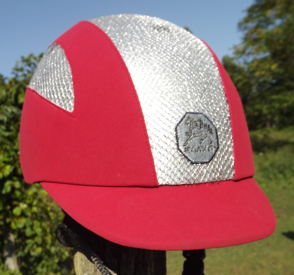red and silver mesh with mesh sides pic 1.jpeg